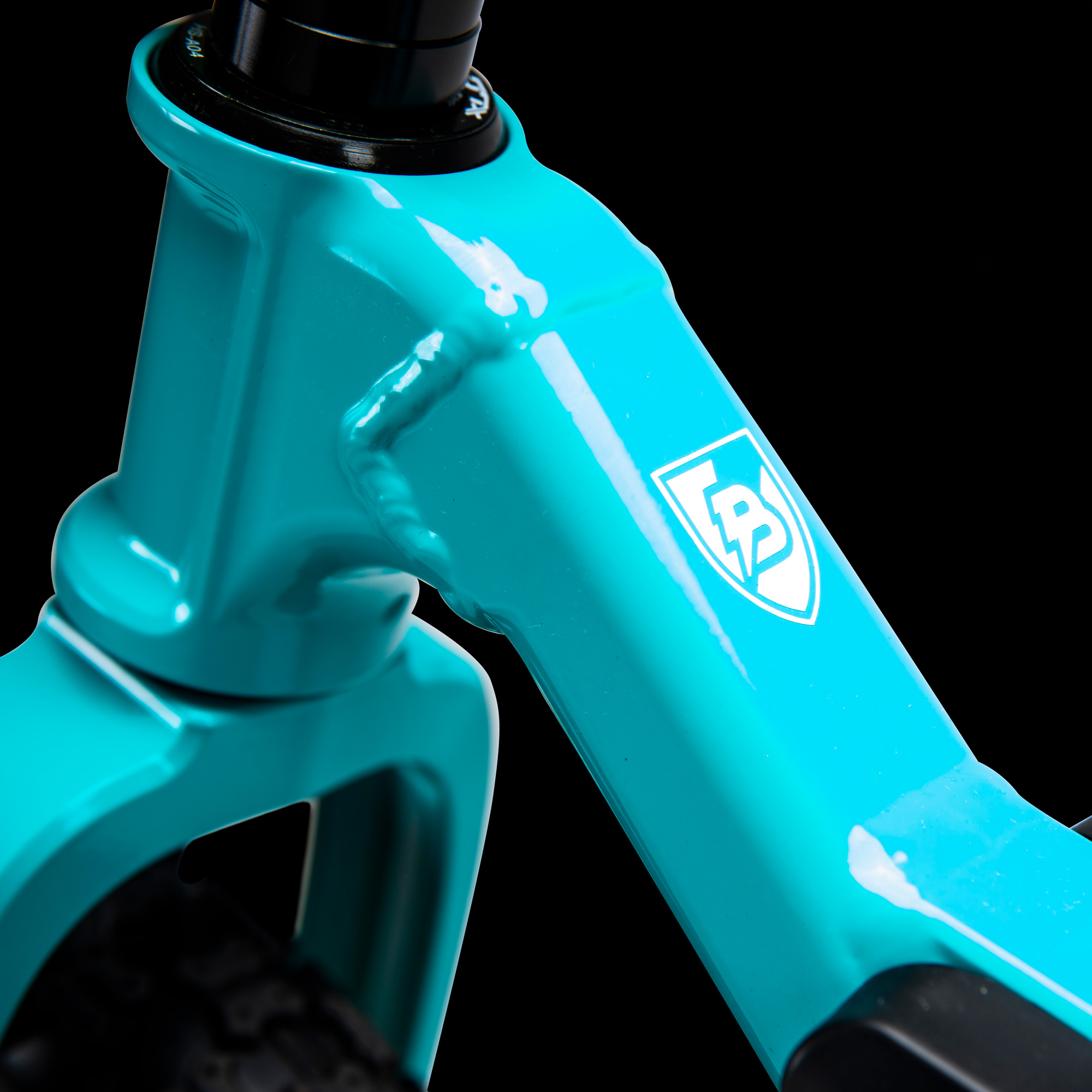 Botz Bikes_Frame